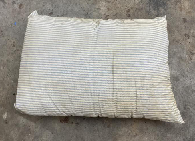 Pillow in corrections facility on floor